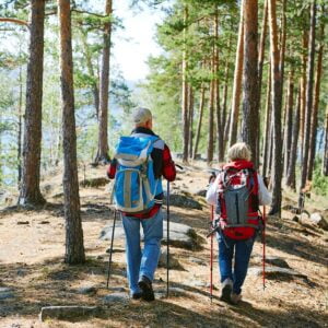 hiking poles