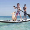 Paddleboarding con niños y mascotas